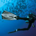 SCUBA Diving Trips