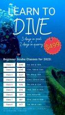 Sign up for SCUBA Class