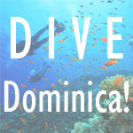 SCUBA travel. Scuba trips. Dive Trips. Dominica