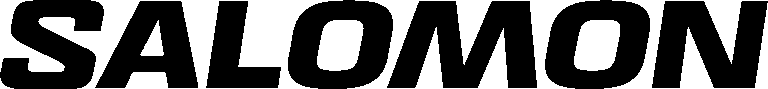 LOGO SALOMON BRANDMARK 22