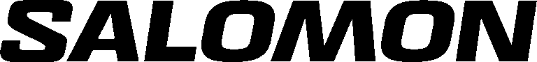 LOGO SALOMON BRANDMARK 22